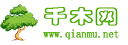 示例企业官网